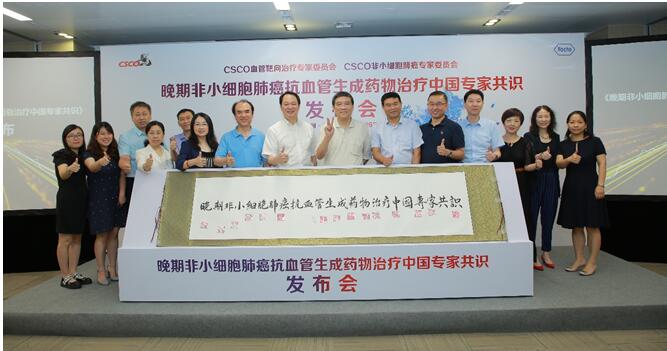 《晚期非小細胞肺癌抗血管生成藥物治療中國專家共識(2019版)》發(fā)布儀式 《晚期非小細胞肺癌抗血管生成藥物治療中國專家共識(2019版)》發(fā)布儀式