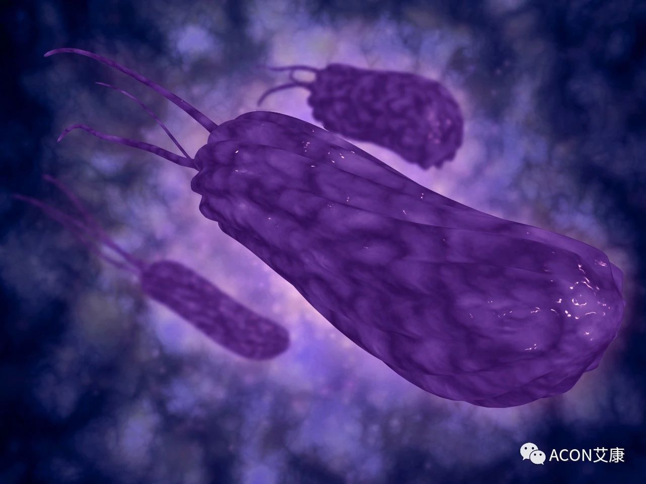 醫(yī)生總結(jié)了3位年輕胃癌患者的病例：30歲不到的他們到底干啥了？