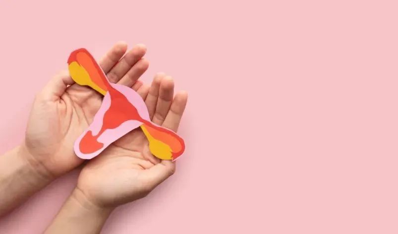 微信圖片_20220425100333.jpg 微信圖片_20220425100333.jpg