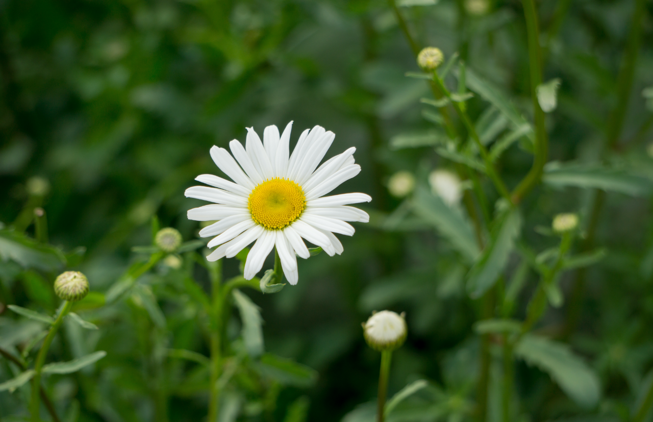 微信圖片_20220507085903.png 微信圖片_20220507085903.png