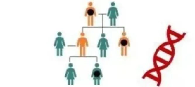 微信圖片_20220616085609.jpg 微信圖片_20220616085609.jpg