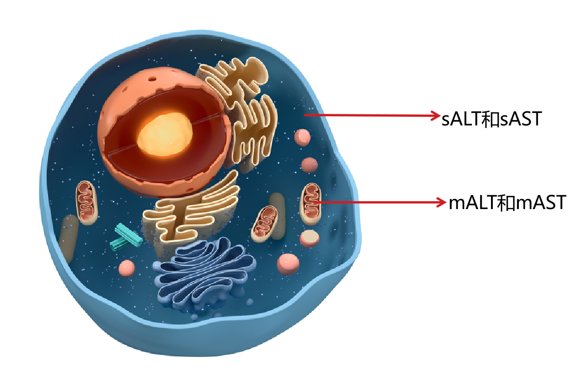 微信圖片_20220701092952.png 微信圖片_20220701092952.png