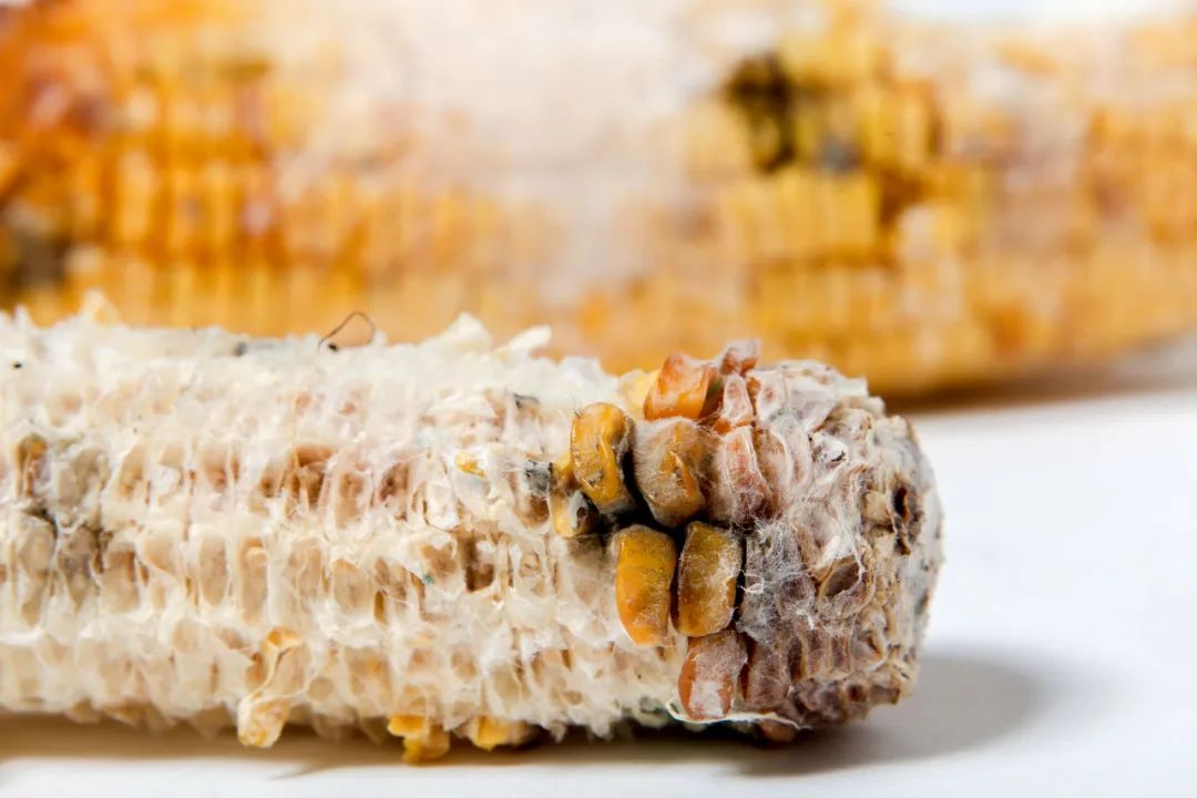 微信圖片_20220713090927.jpg 微信圖片_20220713090927.jpg