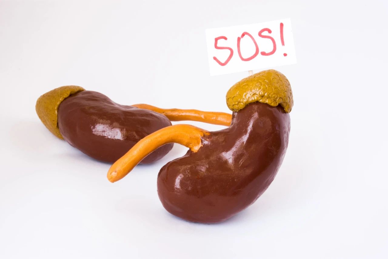 微信圖片_20230310101527.jpg 微信圖片_20230310101527.jpg