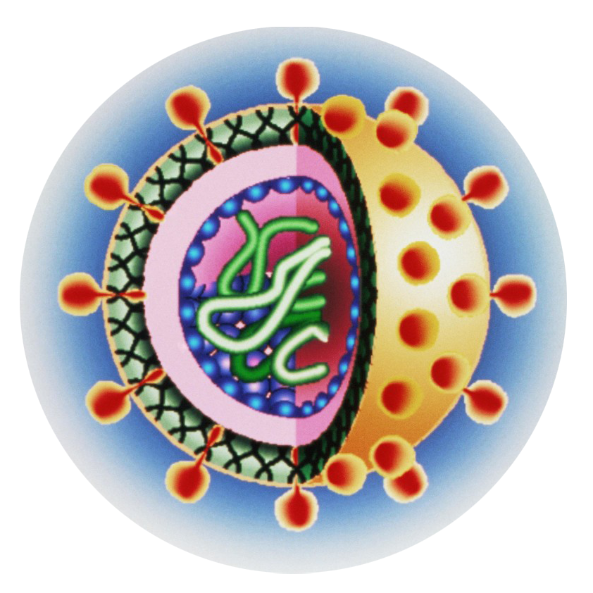 微信圖片_20230321093143.png 微信圖片_20230321093143.png