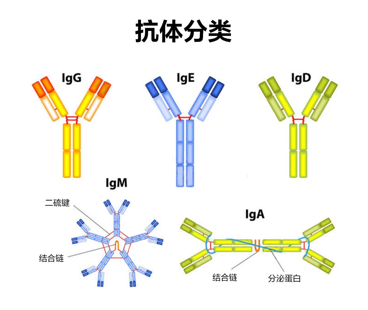 微信圖片_20230616101531.jpg 微信圖片_20230616101531.jpg
